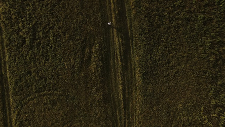 Similar image 22369191