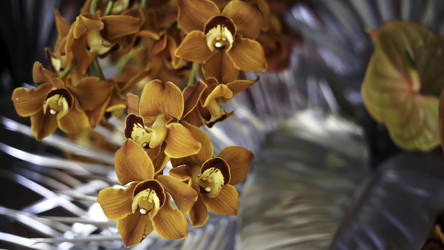 Similar image 22369581