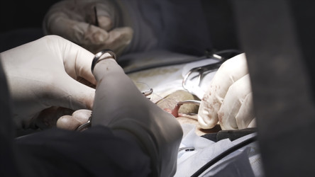 Similar image 22370085