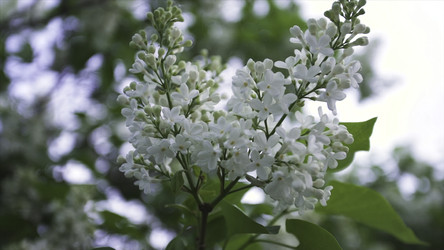 Similar image 22370205