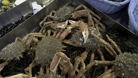 Similar image 22368232