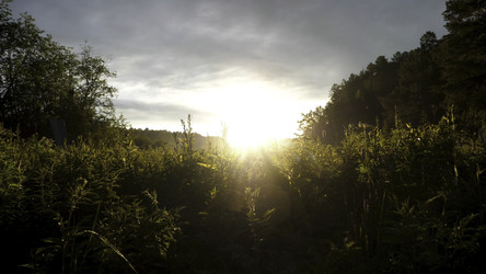 Similar image 22368322