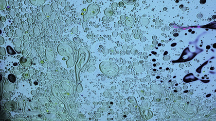 Similar image 22368381