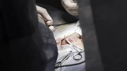 Similar image 22368621