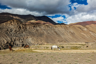 Similar image 22376826