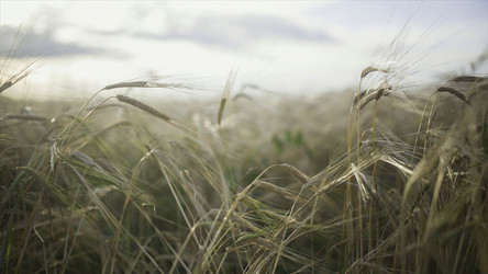 Similar image 22368578