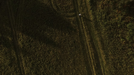 Similar image 22368786