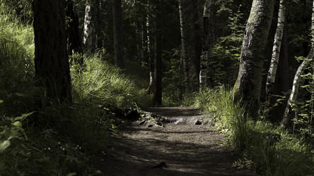 Similar image 22369027