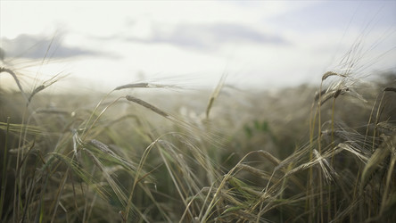 Similar image 22369997