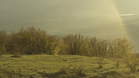 Similar image 22370116