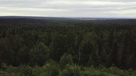 Similar image 22369359