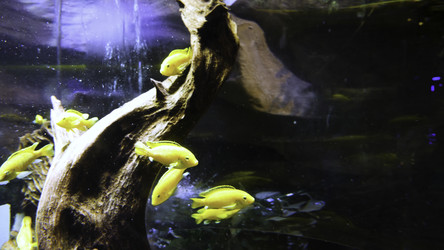 Similar image 22369703