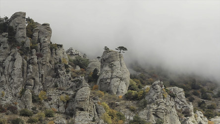 Similar image 22369913