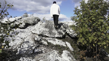 Similar image 22370028