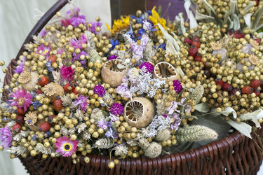 Similar image 22361563