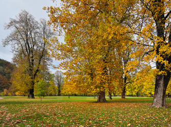 Similar image 22361593