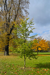 Similar image 22361594