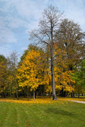 Similar image 22361609