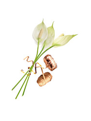 Similar image 22361642