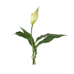 Similar image 22361645