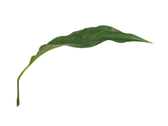 Similar image 22361647