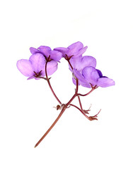 Similar image 22361669