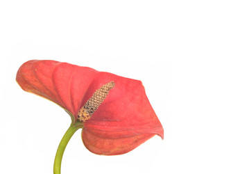 Similar image 22361670