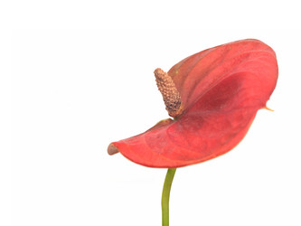 Similar image 22361684