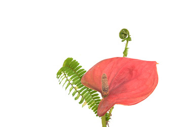 Similar image 22361685