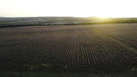 Similar image 22367956