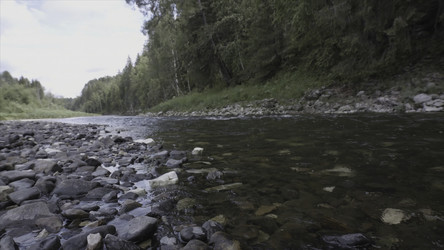 Similar image 22367960