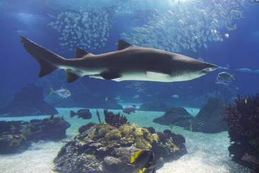 Similar image 22350782