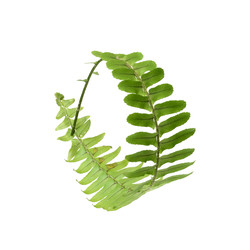 Similar image 22354075