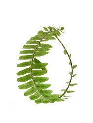 Similar image 22354084