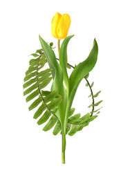 Similar image 22354092