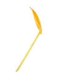 Similar image 22354099