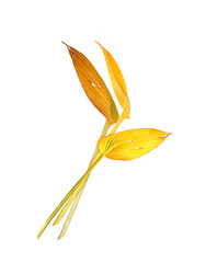 Similar image 22354107