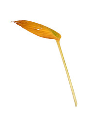 Similar image 22354114