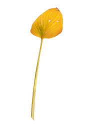 Similar image 22354128