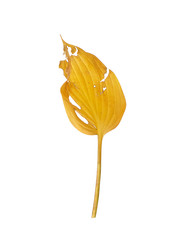 Similar image 22354144