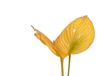 Similar image 22354162