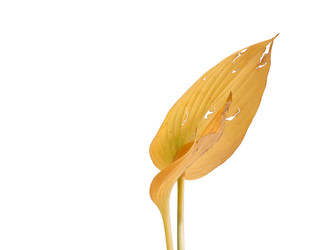 Similar image 22354179