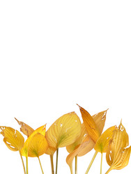 Similar image 22358304