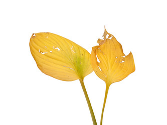 Similar image 22361338