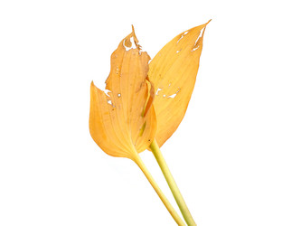 Similar image 22361339