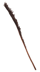 Similar image 22361367