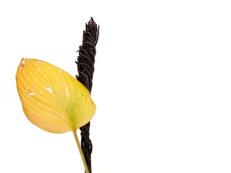 Similar image 22361382