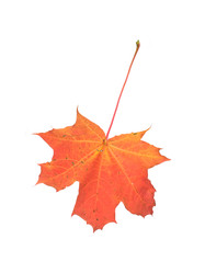 Similar image 22361416