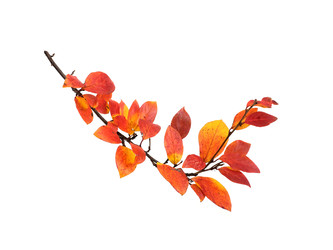 Similar image 22361428