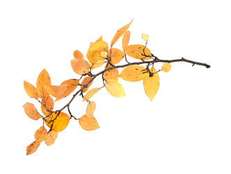 Similar image 22361445